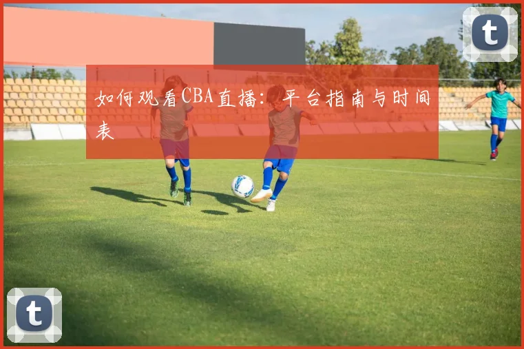 如何观看CBA直播：平台指南与时间表