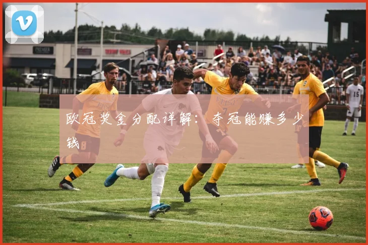 欧冠奖金分配详解：夺冠能赚多少钱