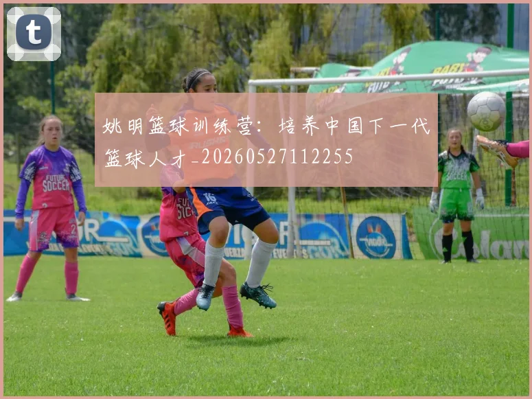 姚明篮球训练营：培养中国下一代篮球人才_20260527112255