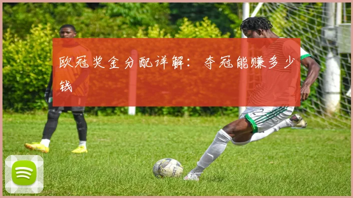 欧冠奖金分配详解:夺冠能赚多少钱